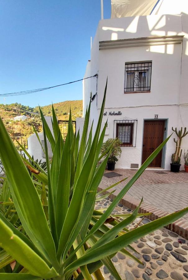 El Molinillo Villa Ojen Exterior photo